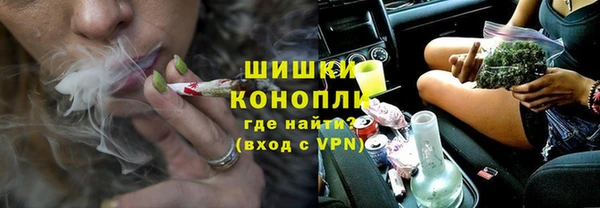 индика Красноперекопск