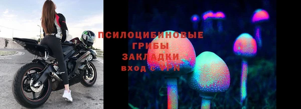 индика Красноперекопск