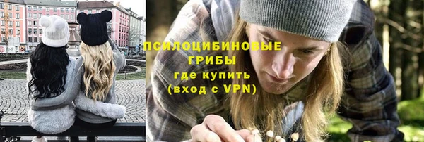 прущая мука Краснослободск
