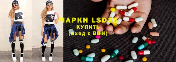 индика Красноперекопск