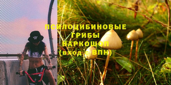 индика Красноперекопск