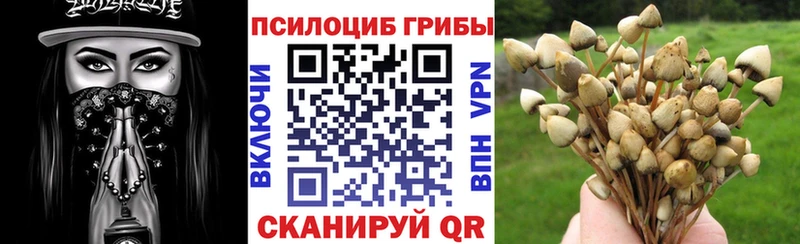 Галлюциногенные грибы Magic Shrooms  блэк спрут ТОР  Курчатов 